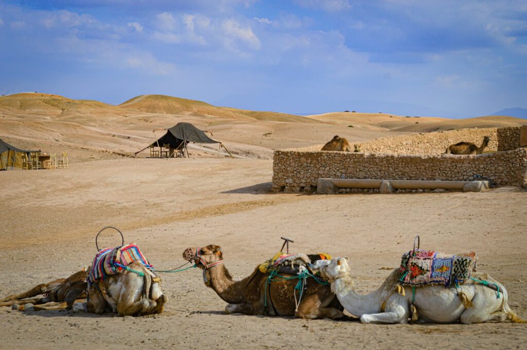 Agafay Desert