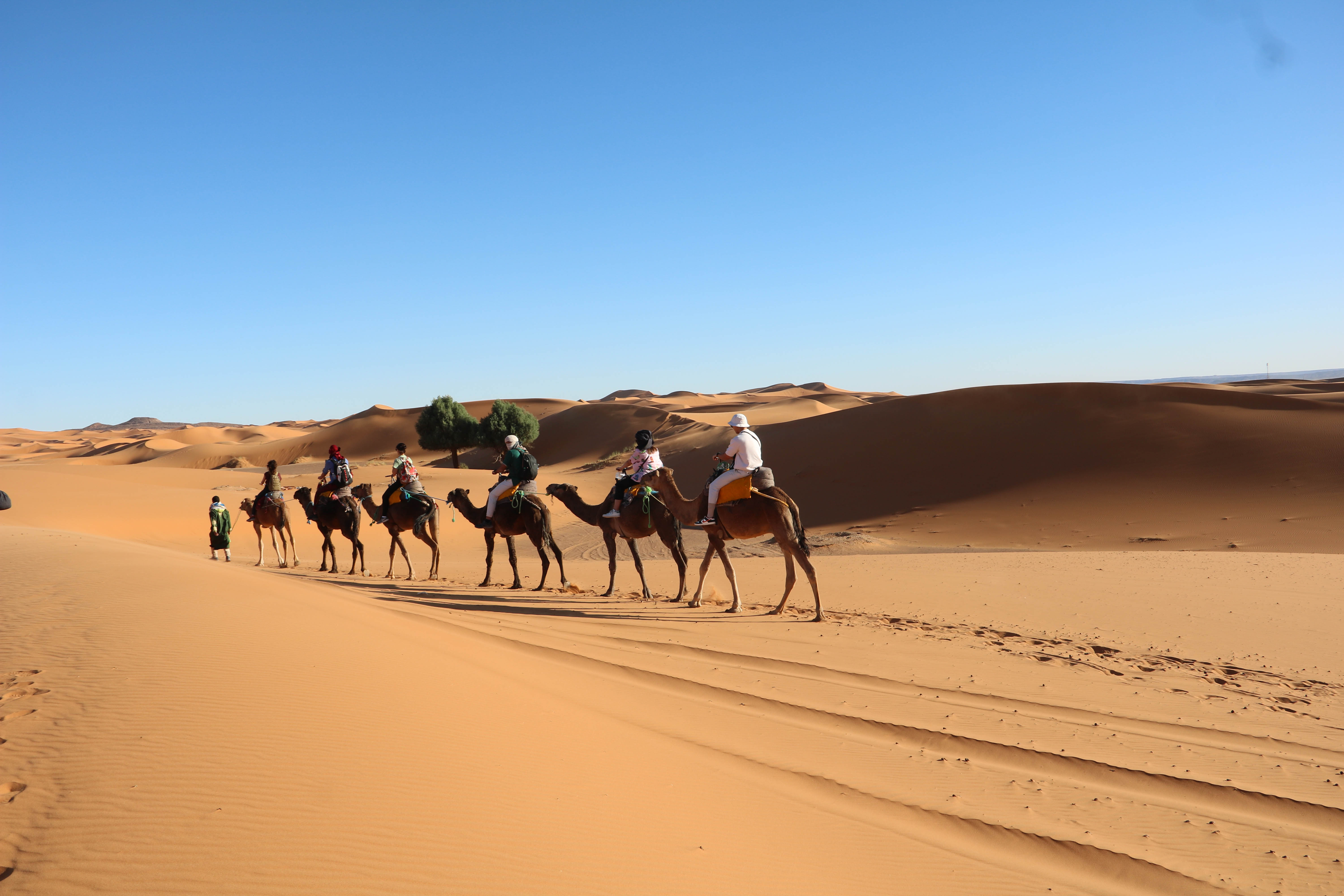 Morocco Vacation Packages - Holiday Packages to Morocco - Morocco ...