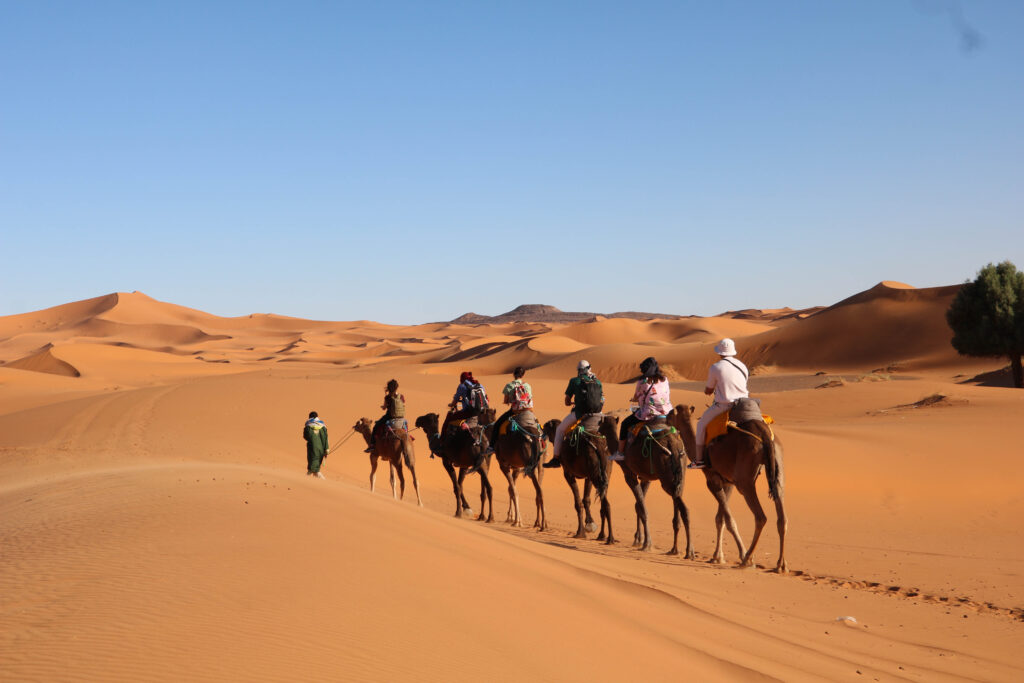 Best Morocco Tours