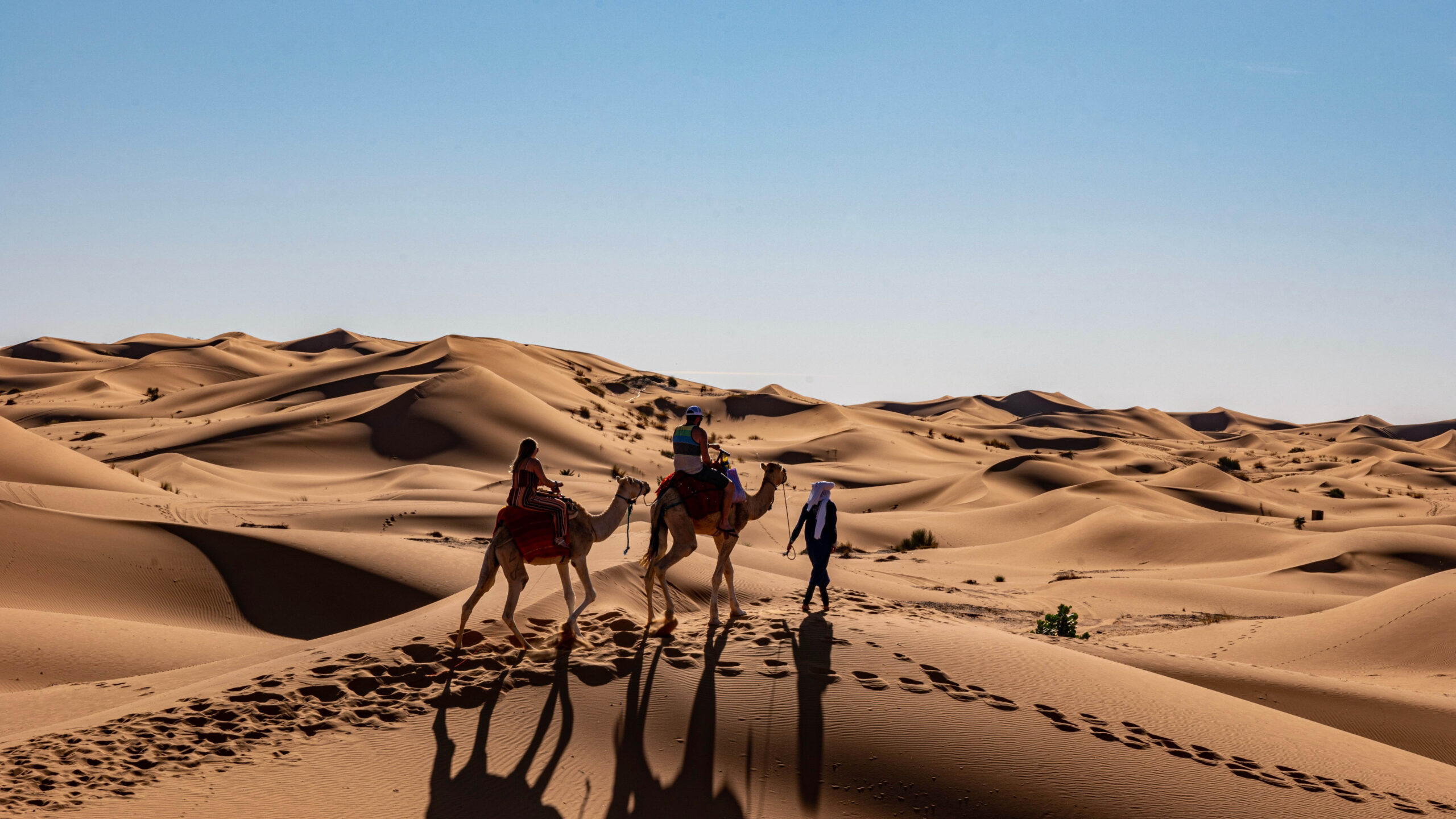 Marvelous Journey Of Morocco 8-Day