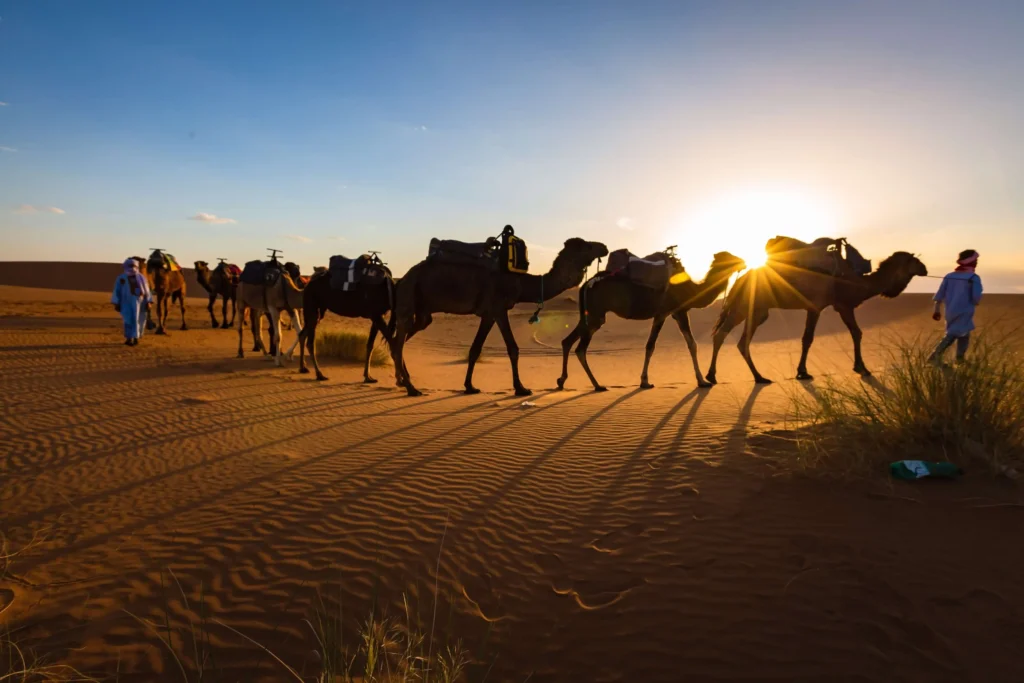 Agafay Desert Tours