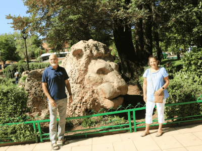 Day trip to the Middle Atlas, cedar forest, Ifrane & Azrou From Fes